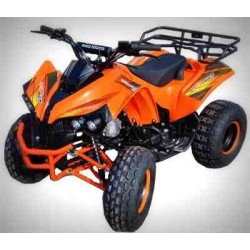 KXD QUAD WARRIOR 125CC R8