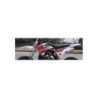 CARENE MINICROSS TIGER - 10" minimoto cross plastiche