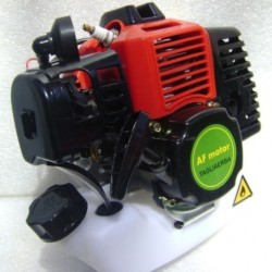Blocco Motore 36cc 1,5CV Decespugliatore Tagliaerba Completo Frizione