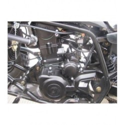Blocco Motore 250cc Quad Atv Liquido Marce Retromarcia