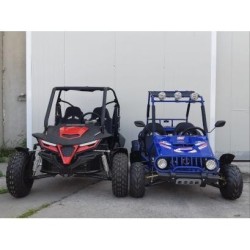 Ncx Buggy 250