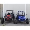 Ncx Buggy 250