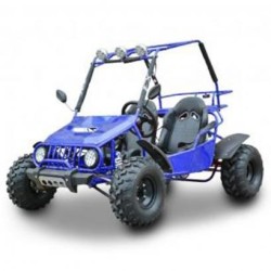 Ncx Buggy 4 Strike 200