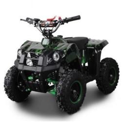 Shuttle 800W R6 Elettrico