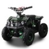 Shuttle 800W R6 Elettrico