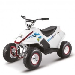 Ncx Baymax 500W R6 Big Elettrico