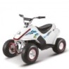 Ncx Baymax 500W R6 Big Elettrico