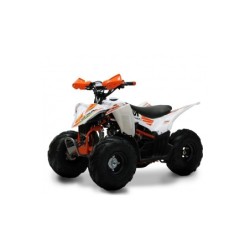 Lem Quad KONDOR 110CC