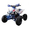 Quad NCx MONSTER 125 R7 FD SUPER WELL