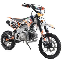 PIT BIKE NCX CRX 125 4T 14/12 AUTOMATICA GOLD