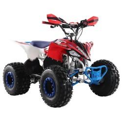 QUAD FURIOUS SLIM FT 125 4T R8
