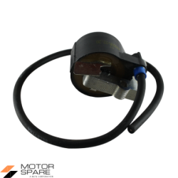 BOBINA CENTRALINA ELETTRONICA MOTORE CM 25 46 80 90