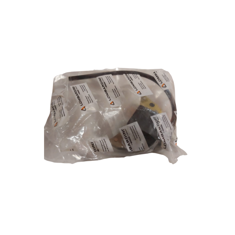 BOBINA ELETTRONICA ORIGINALE LOMBARDINI LGA225 LGA226 LGA340