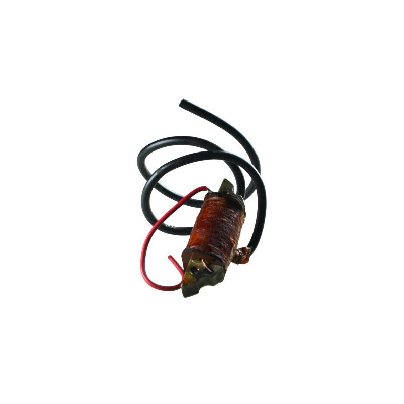 BOBINA CENTRALINA ELETTRONICA INTERNA MOTORE OLEOMAC 250 260 480 482 CEV 04235