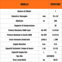 MOTORE COMPLETO DIESEL 7 HP CON AVVIAMENTO ELETTRICO TORO MOTORI TIPO YANMAR TMYD178 CONICO 23mm