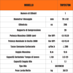 MOTORE COMPLETO DIESEL 7 HP CON AVVIAMENTO A STRAPPO TORO MOTORI TIPO YANMAR TMYD178 CONICO 23mm
