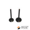 KIT VALVOLA ASPIRAZIONE VALVOLA SCARICO MOTORE YANMAR KAMA VULCAN ZANETTI E VARI MADE IN CHINA L100 LA186
