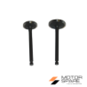 KIT VALVOLA ASPIRAZIONE VALVOLA SCARICO MOTORE YANMAR KAMA VULCAN ZANETTI E VARI MADE IN CHINA L100 LA186