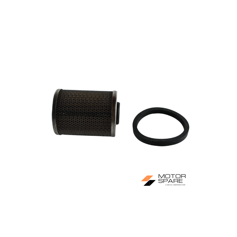 FILTRO NAFTA CON GUARNIZIONE MOTORE RUGGERINI RF80 RF81 RF90 RF91 RF120 RF121 RF140 Rif. Orig. 175.32-21752050