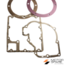SERIE GUARNIZIONI COMPLETA CON PARAOLI MOTORE RUGGERINI RD901 RD920 RF90 RF91 RF120 RF121 RF130 Rif. Orig. A2140.0021400000