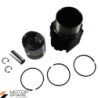 KIT CILINDRO PISTONE COMPLETO SERIE SEGMENTI MOTORE LOMBARDINI LDA914 7LD865 8LD665 CAMERA DECENTRALE DIAMETRO 95mm