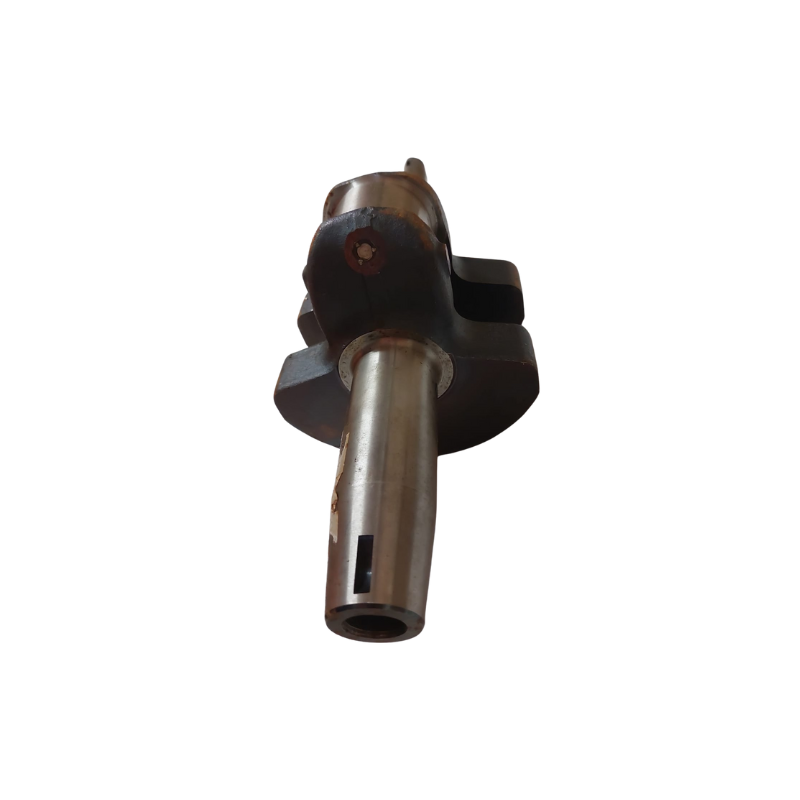 ALBERO MOTORE VERSIONE INDUSTRIALE TIPO LUNGO LOMBARDINI 4LD820 LDA820