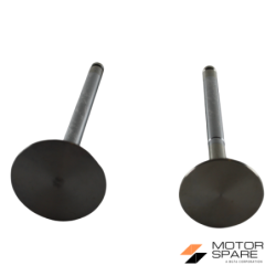 KIT VALVOLE ASPIRAZIONE E SCARICO E GUIDE VALVOLE MOTORE LOMBARDINI LDA450 LDA451 LDA510 3LD450 3LD451 3LD510
