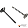 KIT VALVOLE ASPIRAZIONE E SCARICO E GUIDE VALVOLE MOTORE LOMBARDINI LDA450 LDA451 LDA510 3LD450 3LD451 3LD510