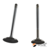 KIT VALVOLE ASPIRAZIONE E SCARICO E GUIDE VALVOLE MOTORE LOMBARDINI LDA450 LDA451 LDA510 3LD450 3LD451 3LD510