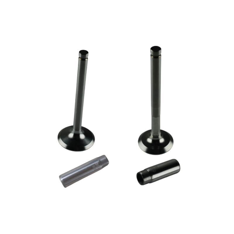 KIT VALVOLE ASPIRAZIONE E SCARICO E GUIDE VALVOLE MOTORE LOMBARDINI 15LD315 15LD350