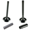 KIT VALVOLE ASPIRAZIONE E SCARICO E GUIDE VALVOLE MOTORE LOMBARDINI 15LD315 15LD350