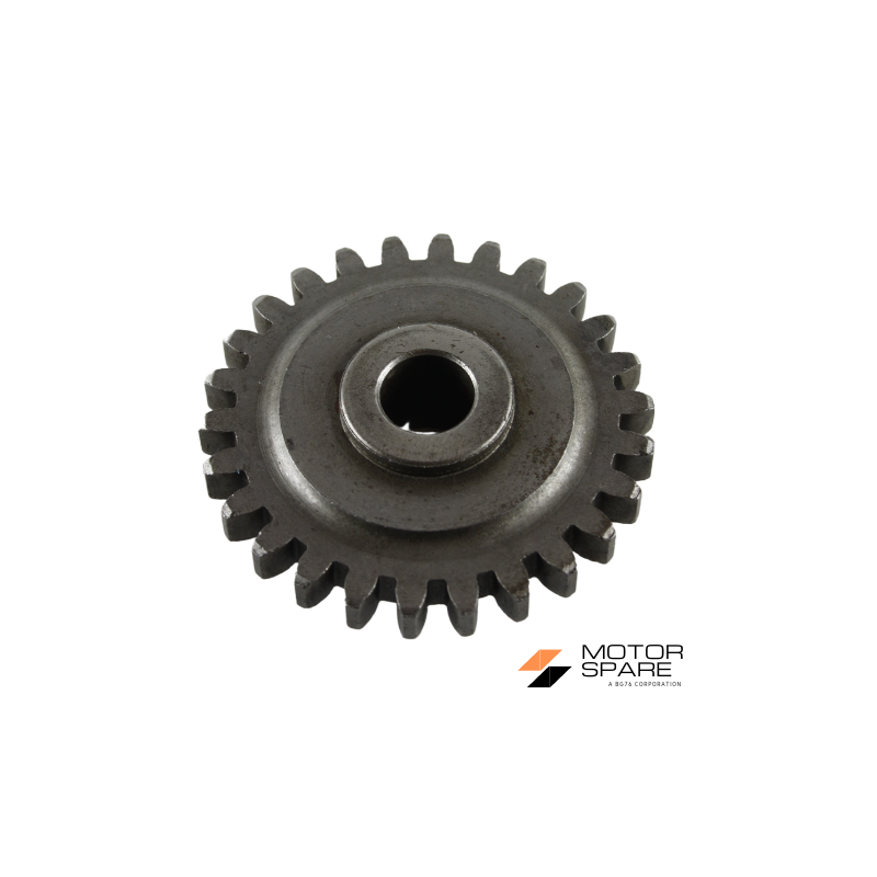 INGRANAGGIO REGOLATORE DI GIRI MOTORE LOMBARDINI LDA450 LDA451 LDA510 3LD450 3LD451 3LD510
