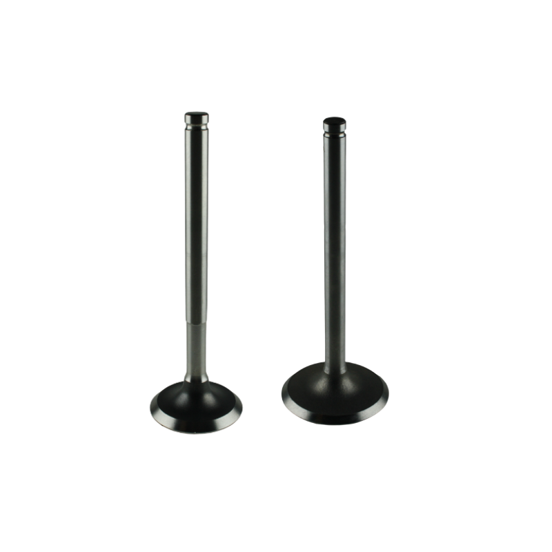 KIT VALVOLE ASPIRAZIONE E SCARICO MOTORE LOMBARDINI LDA100 LDA820 LDA91 LDA96 LDA97 4LD640 4LD705 4LD820