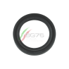 PARAOLIO POSTERIORE LATO DISTRIBUZIONE MOTORE LOMBARDINI 6LD325 6LD360 6LD400 6LD435 LDA520 LDA530 Rif. Orig. 1213.056.9