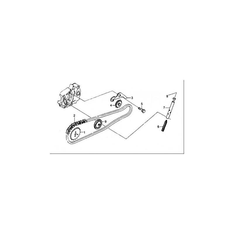 SET CATENA DISTRIBUZIONE YX 125cc 125 - blocco motore 4 tempi kayo krz