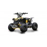 Quad Ares 49cc