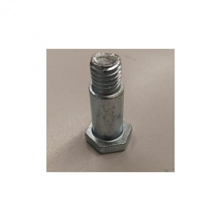 VITE FISSAGGIO CAVALLETTO PIT BIKE KAYO TS90 TSD110 TT125 TT140