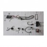 CDI QUAD PANTERA 250cc 4+2 PIN CENTRALINA AVVIAMENTO TIPO LEM