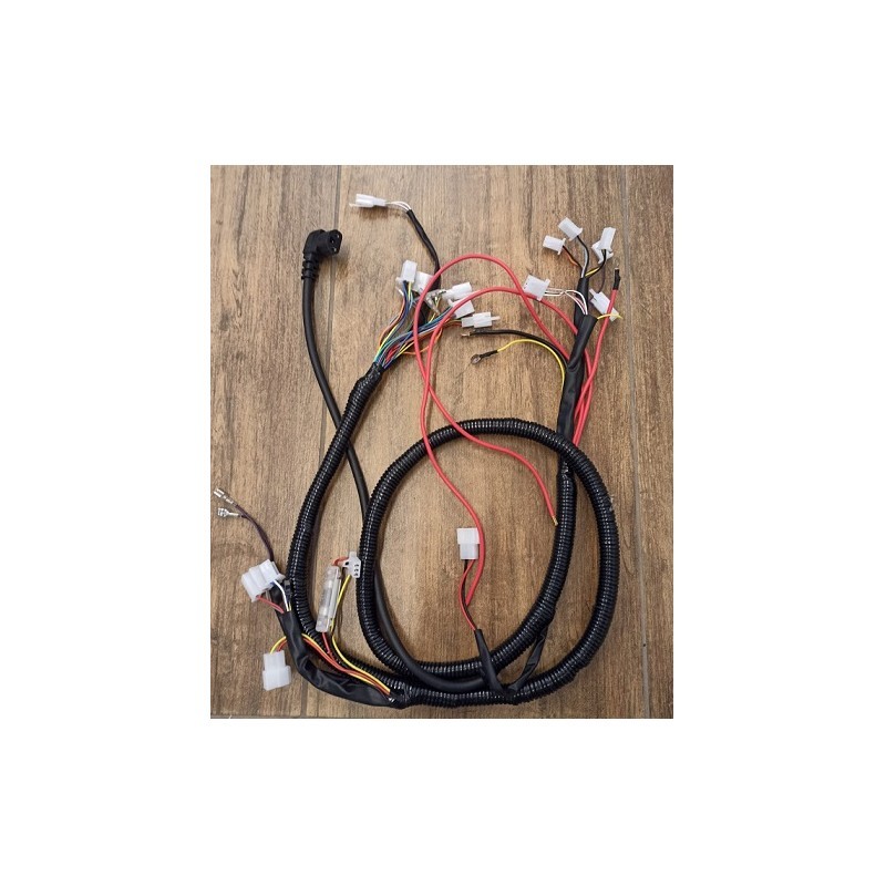 CABLAGGIO SCOOTER SKY II REVENGE 48V 500/1000 W