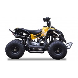QUAD Ares 110CC