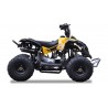 QUAD Ares 110CC
