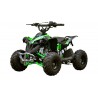 QUAD Ares 110CC