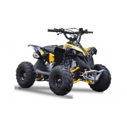 QUAD Ares 110CC