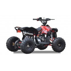 QUAD Ares 110CC