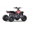 QUAD Ares 110CC