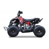 QUAD Ares 110CC