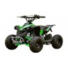 QUAD Ares 110CC