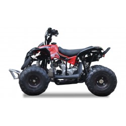 QUAD Ares 110CC