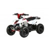 MINIQUAD RACER ELETTRICO 1000W