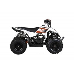 MINIQUAD RACER ELETTRICO 1000W Profive